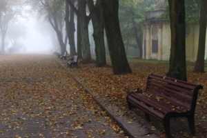 Пустая скамейка в парке
